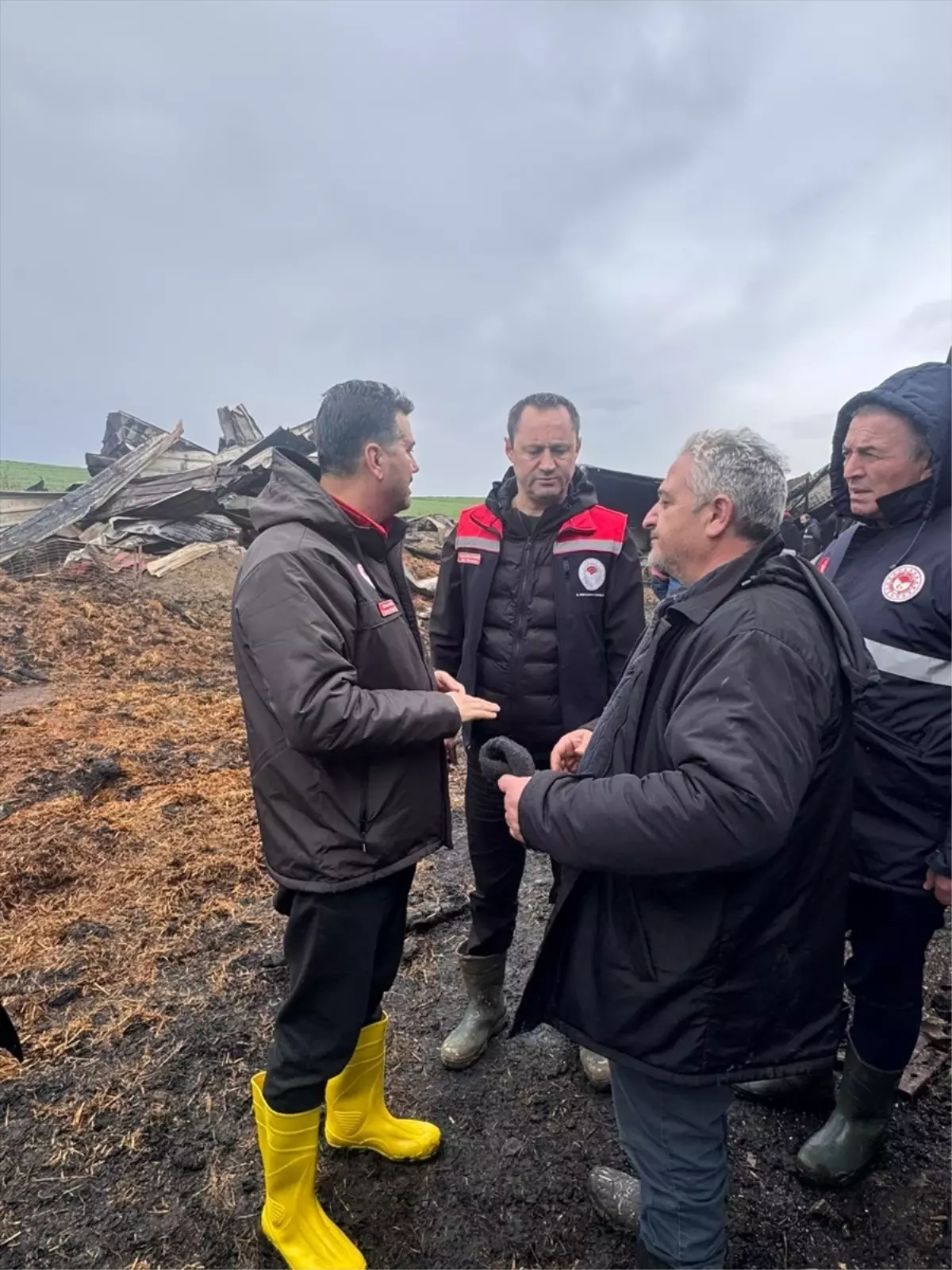 Ergene\'de Yangın: 100 Koyun Telef Oldu