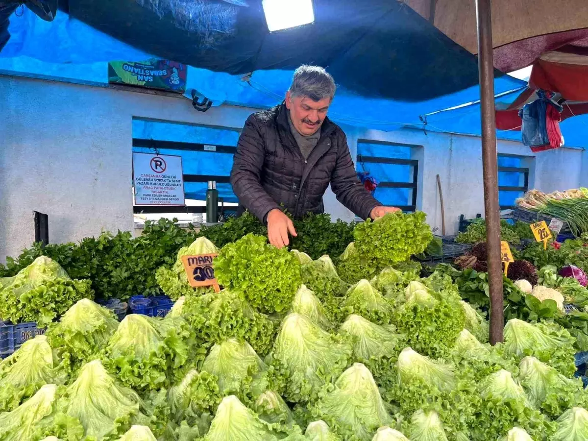 Eskişehir\'de Tarımda Fiyat Artışı