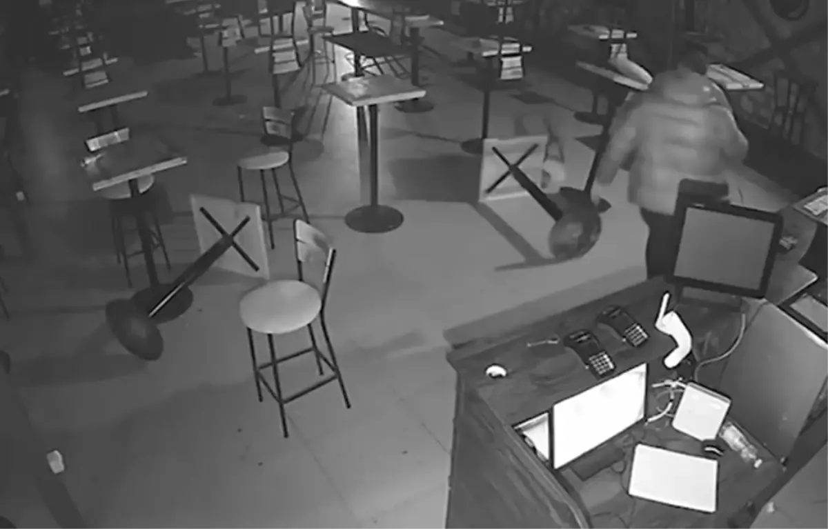 Hatay\'da Suç Örgütüne Operasyon: 12 Tutuklama