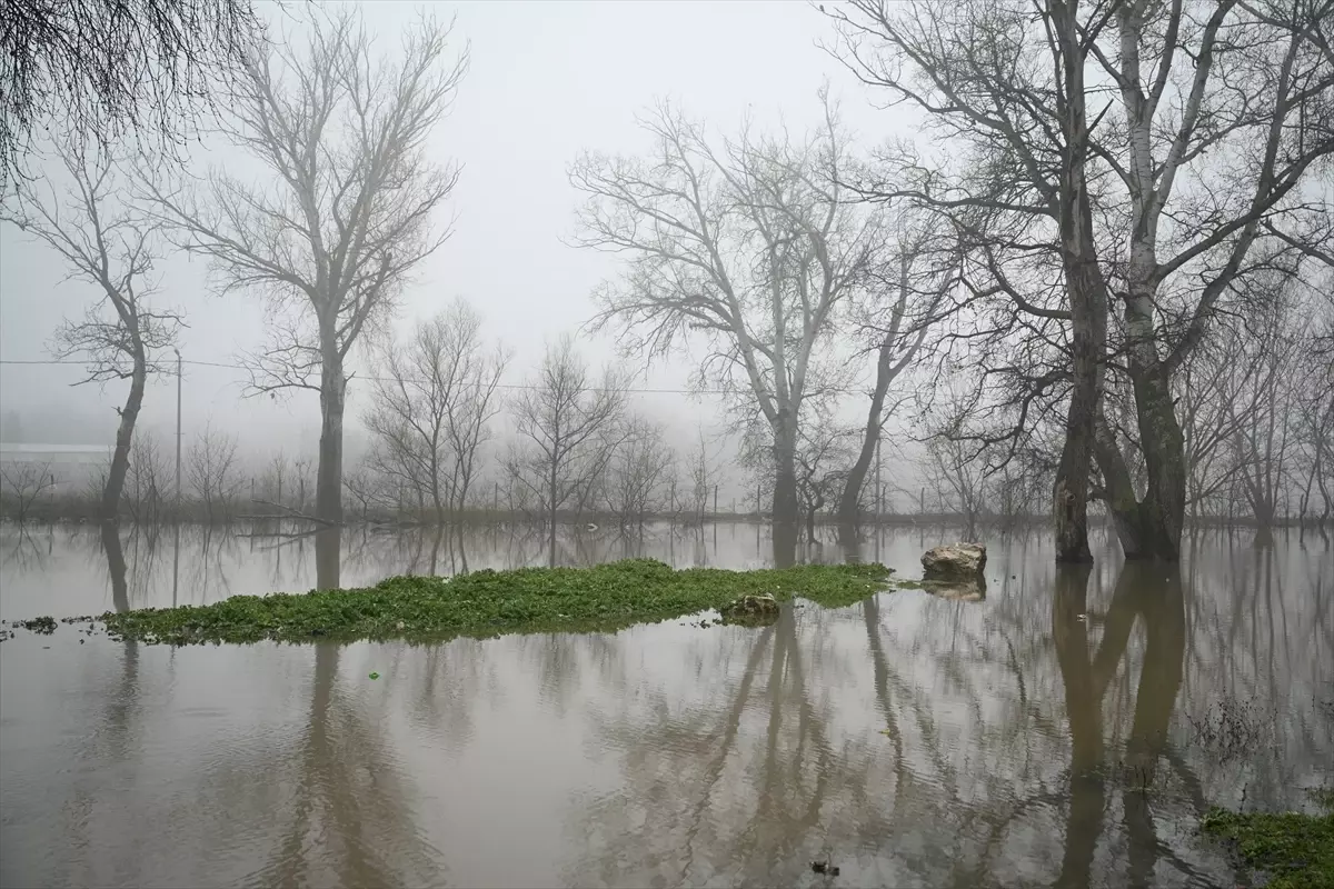 Meriç Nehri\'nde Debi Düşüşü Devam Ediyor