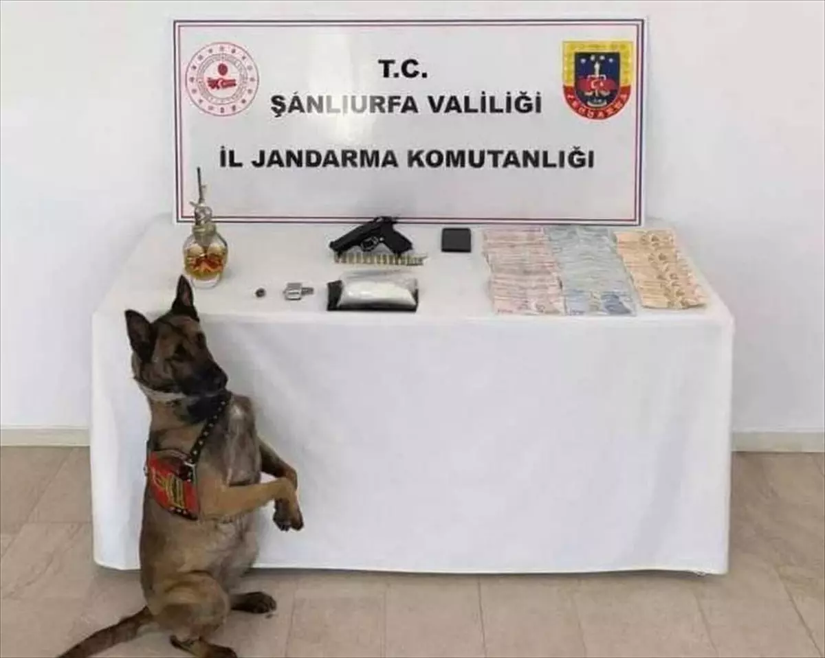 Şanlıurfa\'da Uyuşturucu Operasyonu: 1 Gözaltı