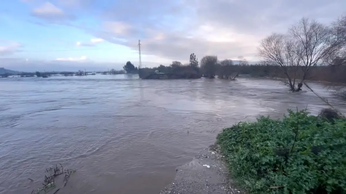 Sarıçay Taştı, Tarım Arazileri Sular Altında Kaldı