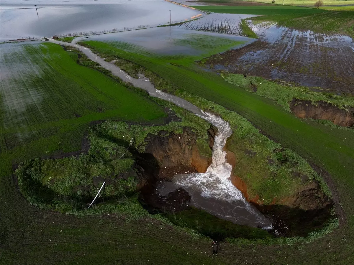 İzmir\'de Yağışlar Tarım Arazilerini Canlandırdı