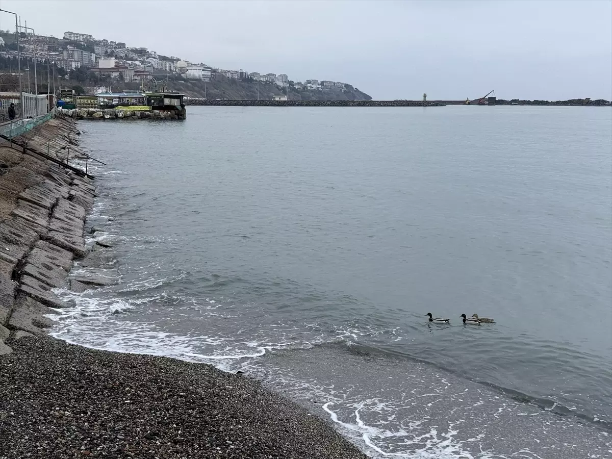 Tekirdağ\'da Deniz Ulaşımı Normale Döndü