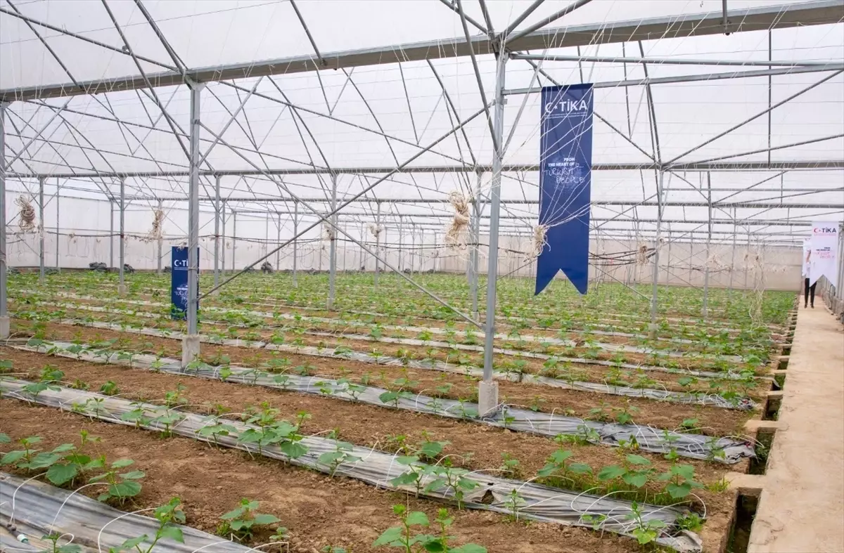 TİKA\'dan Vietnam\'a Sera Desteği