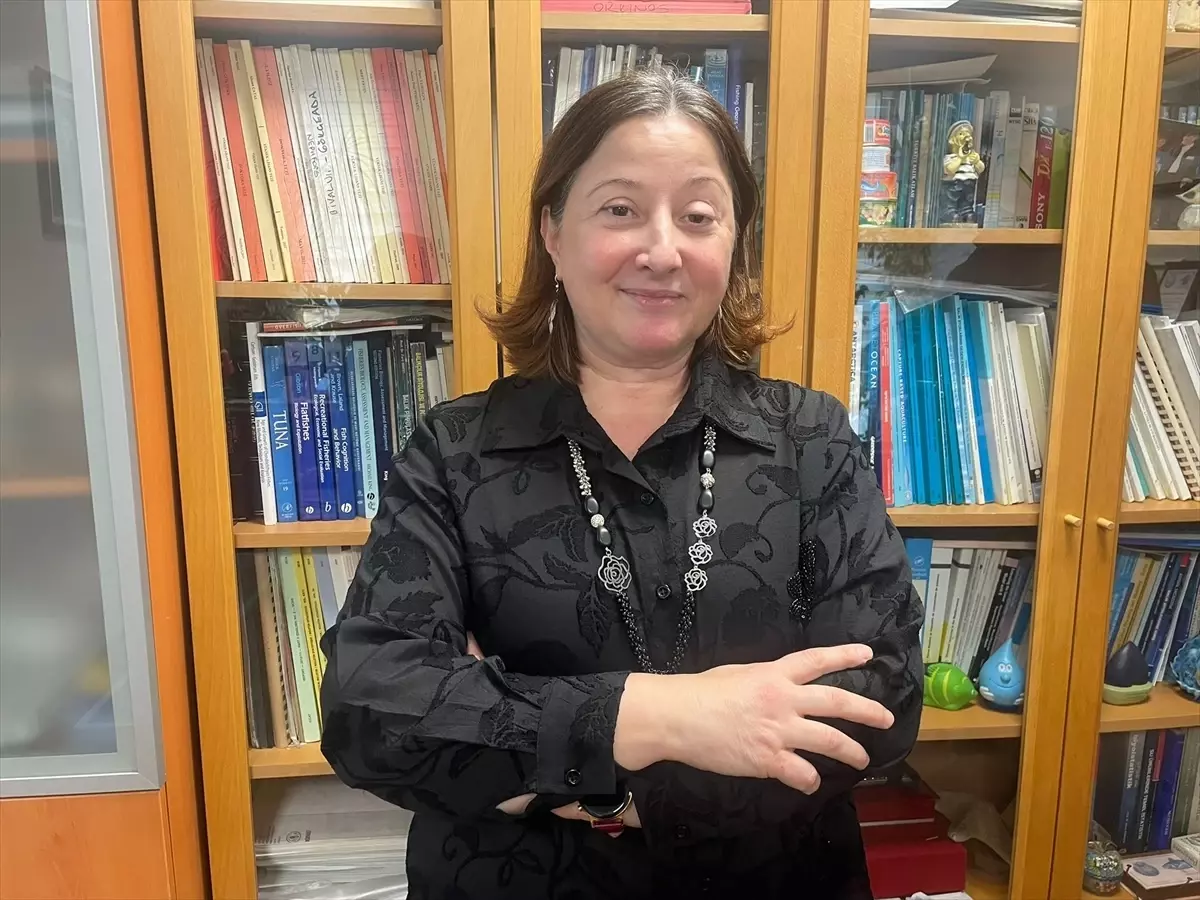 Palamut Stoklarında Düşüş Uyarısı