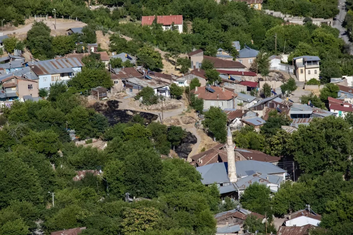Elazığ\'da hayvanlarda görülen çiçek hastalığı nedeniyle 6 köy karantinaya alındı