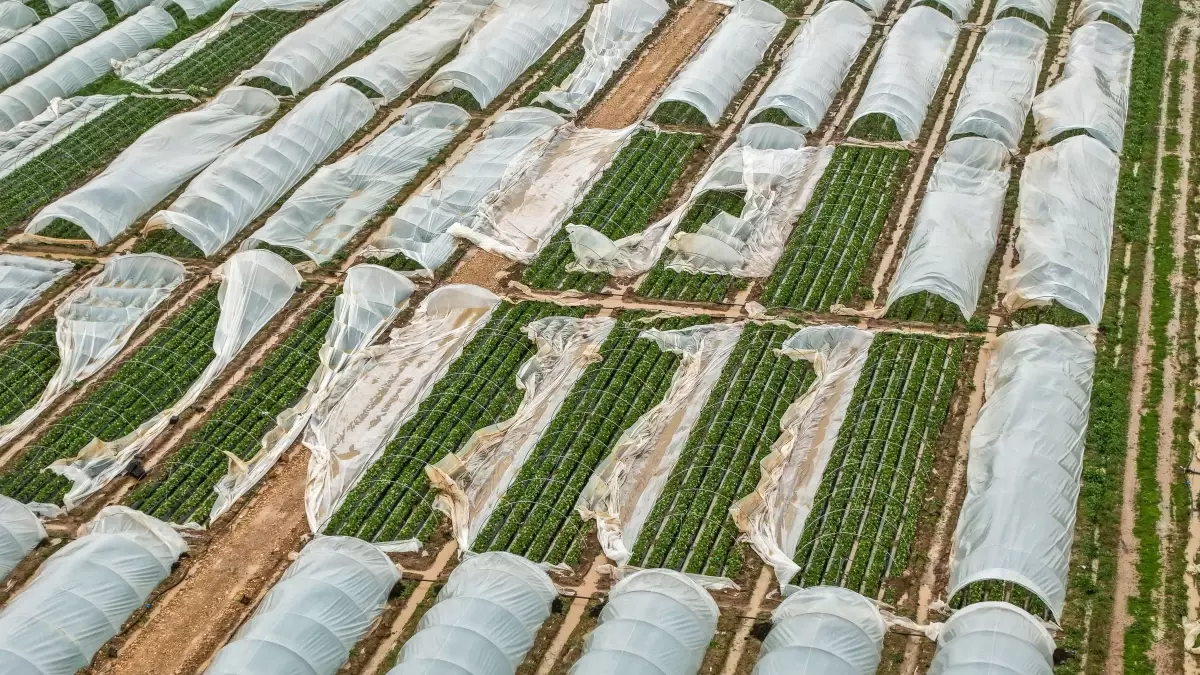 Antalya\'da Tarım Alanları Felaketten Zarar Gördü