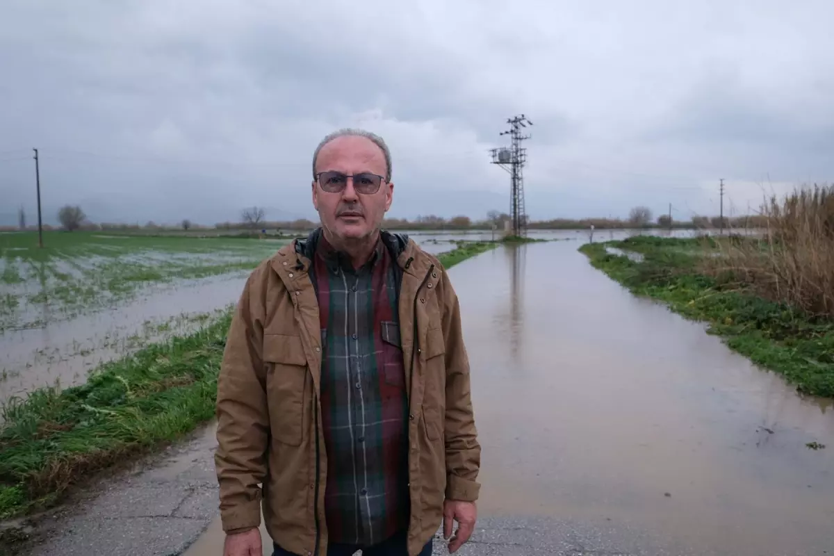 İzmir\'de Taşkın: Tarım Arazileri Su Bastı