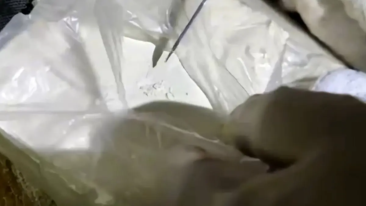 Sakarya\'da Uyuşturucu Operasyonu: 1 Kilogram Kokain Ele Geçirildi