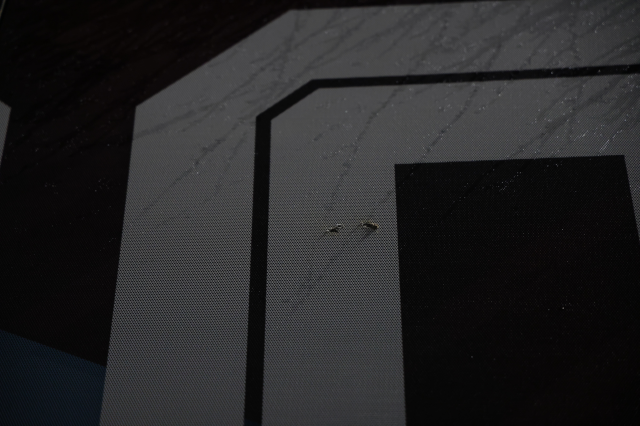 Samsun'da Trabzonspor takım otobüsüne taşlı saldırı: Sporcularımızın can güvenliği tehdit altında