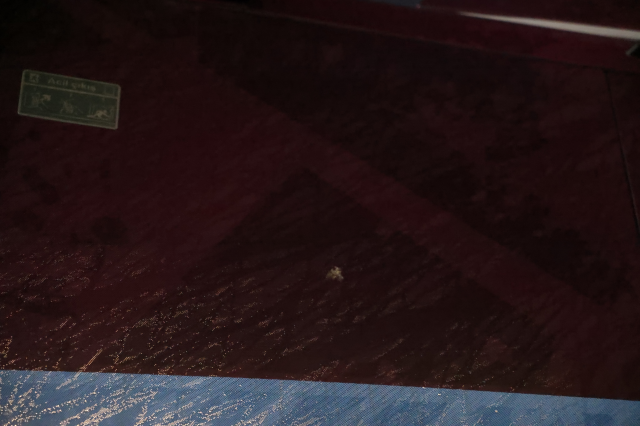 Samsun'da Trabzonspor takım otobüsüne taşlı saldırı: Sporcularımızın can güvenliği tehdit altında