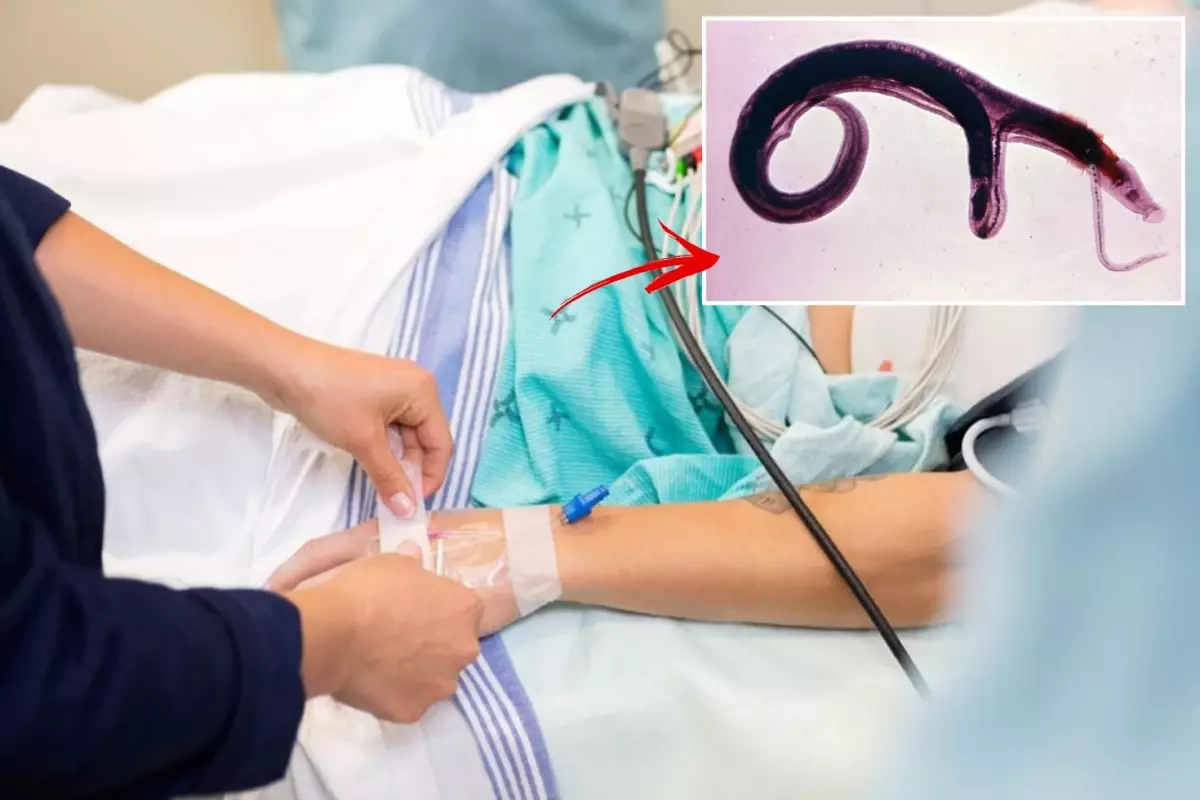 DSÖ\'den küresel alarm! Cinsel organlara yerleşen parazit evrim geçirdi, yeni ülkelere yayılabilir