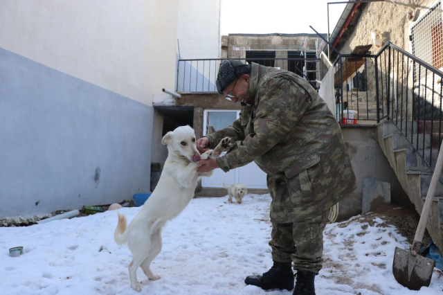 'Gururumdan ağladım' diyen 77'lik İsmail Amca, 77 bin metrekare arazisini gözünü kırpmadan bağışladı