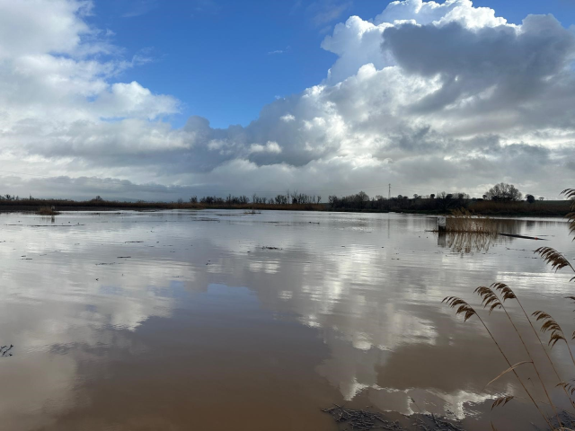 Uşak'ta sel felaketi: 35 iş yerini su bastı