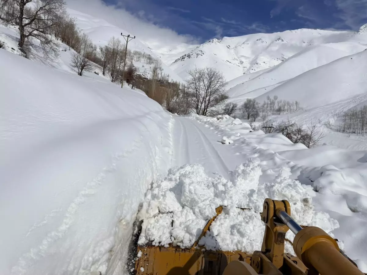 Van\'da Kar Yağışı, 106 Yolu Kapatmıştır