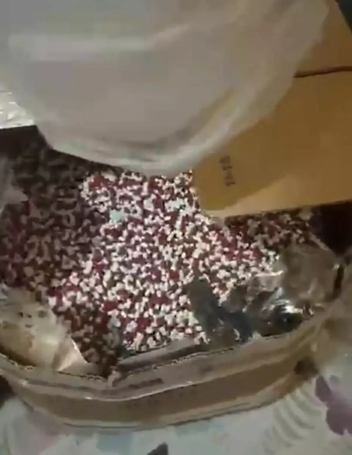 İzmir\'de Uyuşturucu Operasyonu: 104 Bin Sentetik Ecza Ele Geçirildi