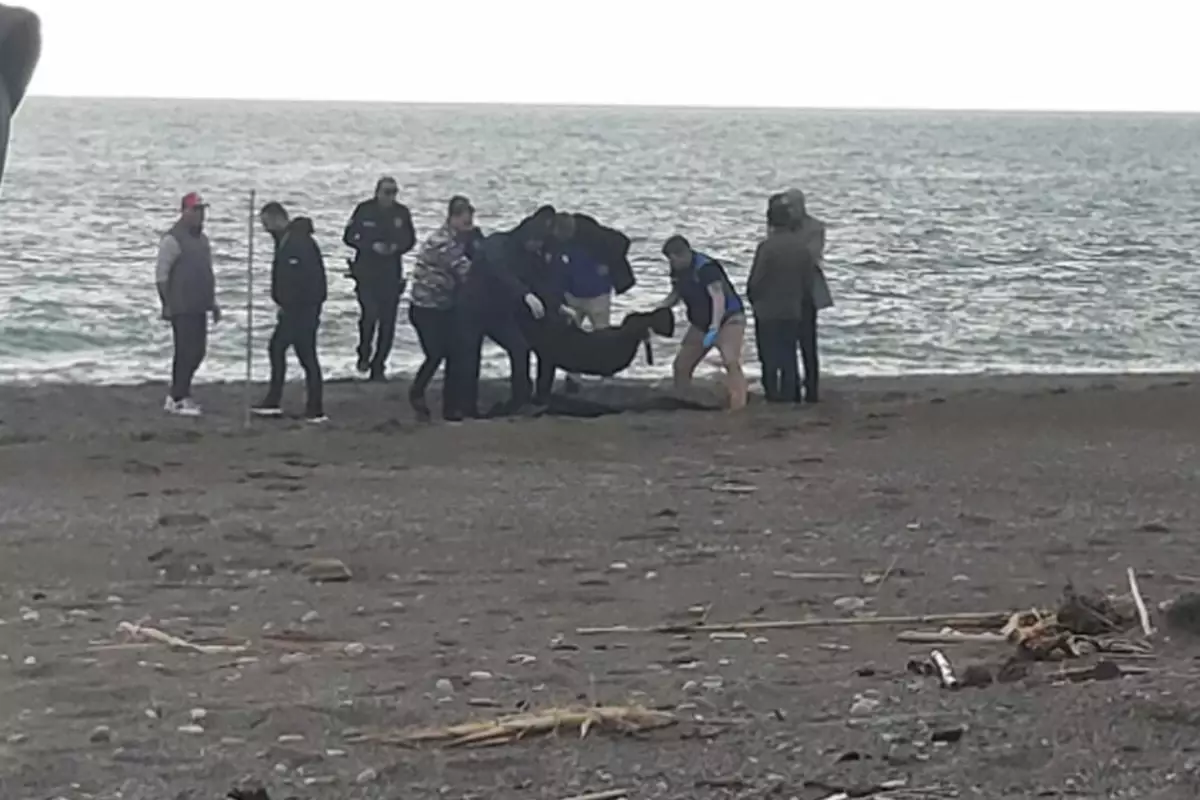 Sahilde kan donduran manzara! Yürürken fark edip telefona sarıldı