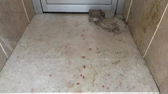 4 kişinin öldüğü aile katliamında yeni detaylar! Annesini ve kızını arabada vurmuş