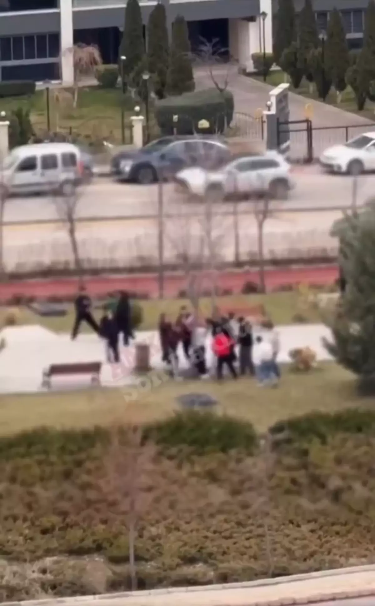 Küçücük çocuğu ağaca bağlayıp işkence ettiler