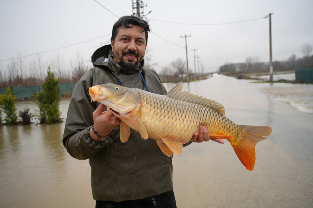 Meriç Nehri taştı, vatandaşlar tarla ve bahçelerde kilolarca balık tuttu