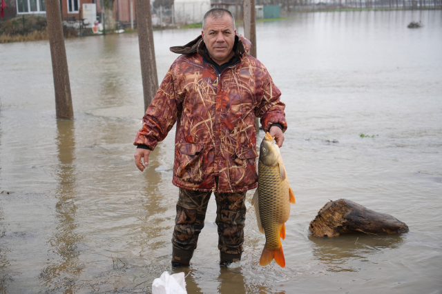 Meriç Nehri taştı, vatandaşlar tarla ve bahçelerde kilolarca balık tuttu