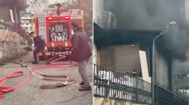 'Veganım' diyerek bir kova balığı denize döken kadın tanıdık çıktı