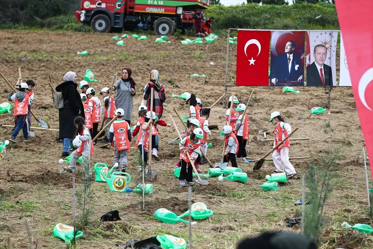 Adana\'da 10 Bin Fidan Dikildi