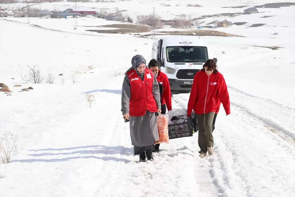 Yaban Hayvanları İçin Yemleme Faaliyeti