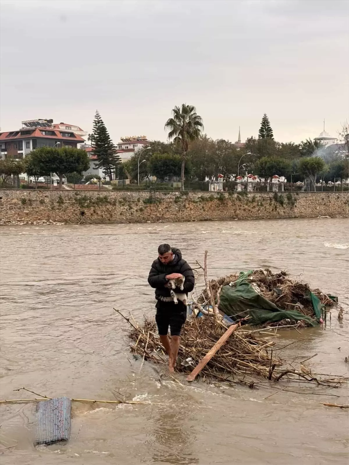 Alanya\'da Sürüklenen Kedi Kurtarıldı