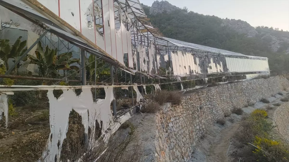 Alanya\'da Muz Serası Kundaklama Olayı