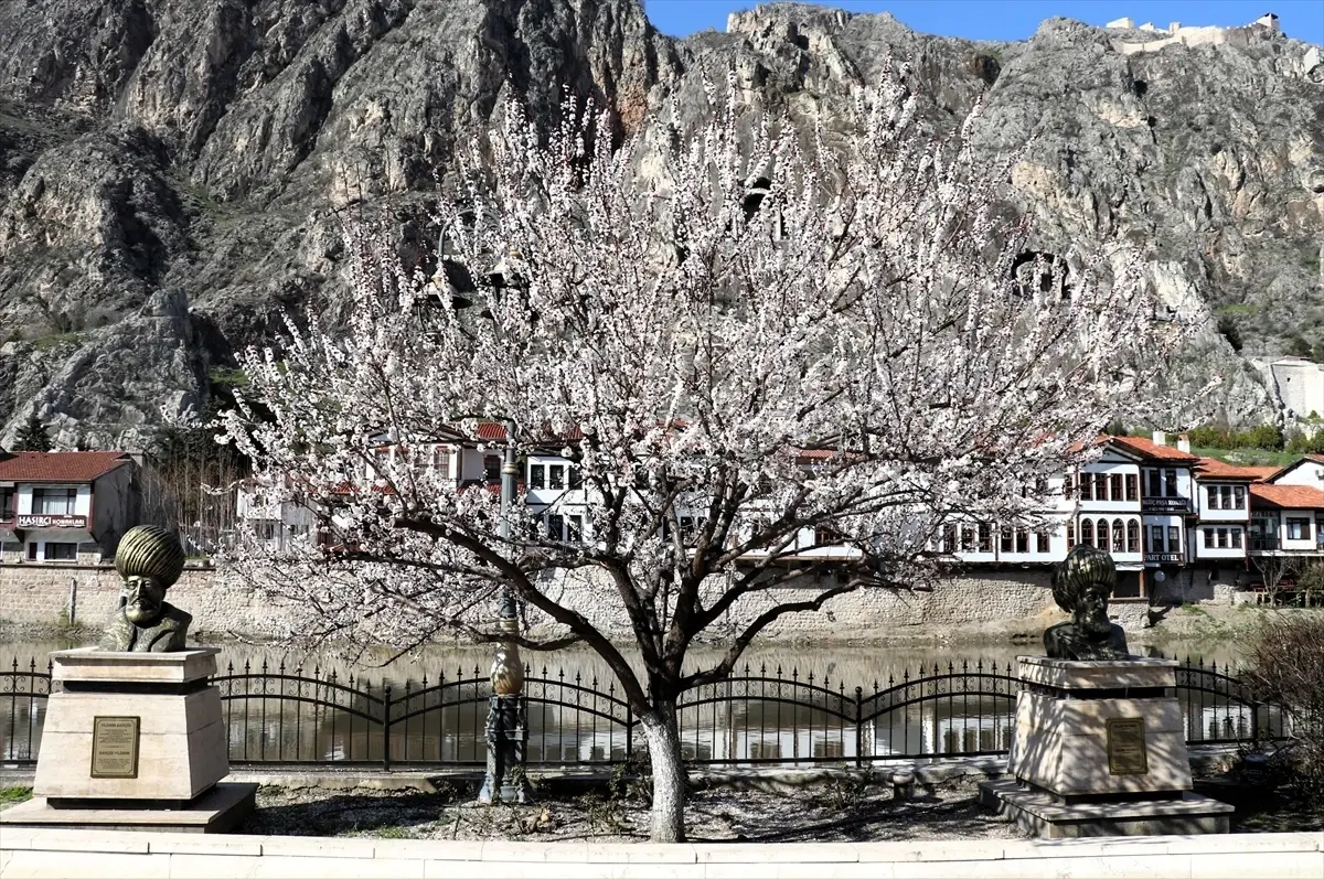 Amasya\'da Bahar Şöleni