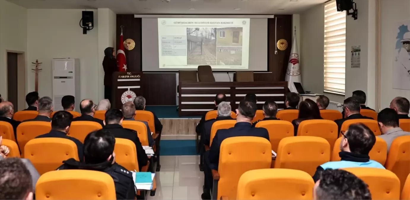 Amasya\'da Hayvanları Koruma Kurulu toplantısı gerçekleştirildi