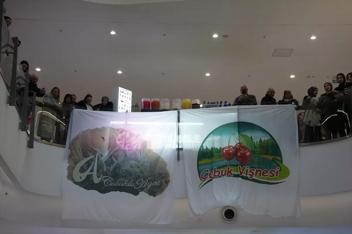 Çubuk Tanıtım Günleri Gerçekleşti