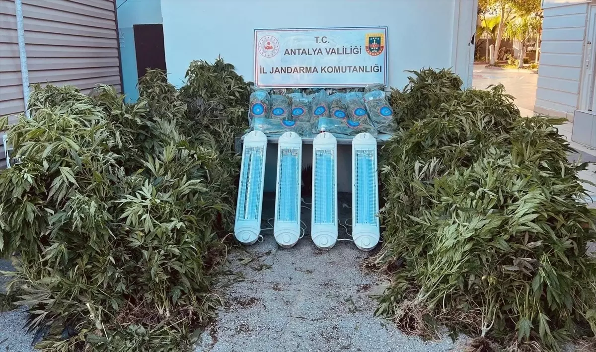 Aksu\'da Uyuşturucu Operasyonu: 1 Gözaltı