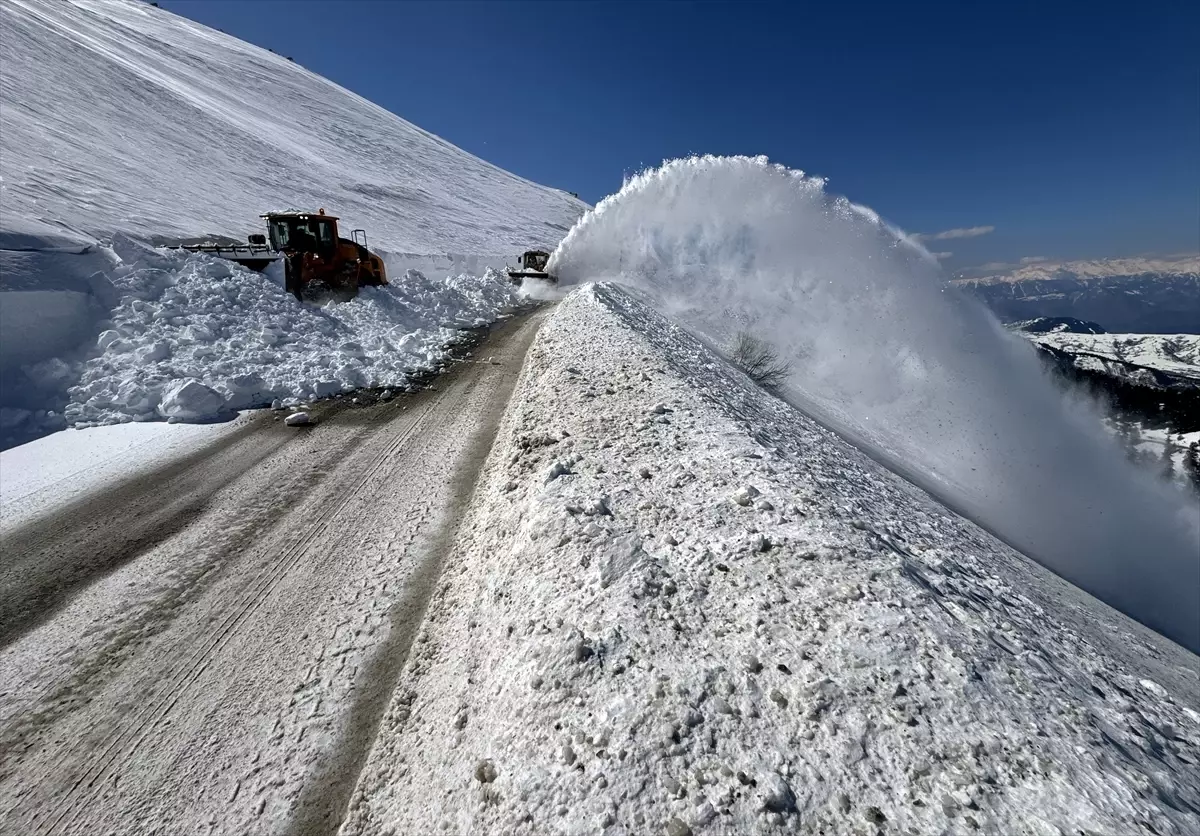 Ardahan\'da Karla Mücadele Devam Ediyor