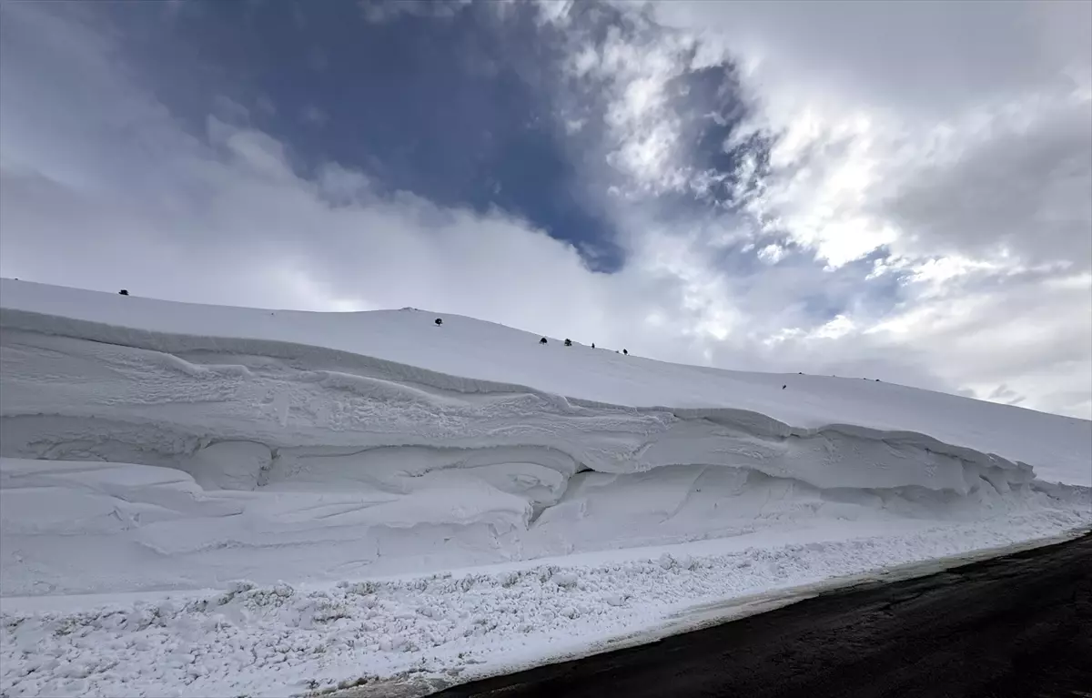 Ardahan\'da Kar ve Sis Ulaşımı Aksattı