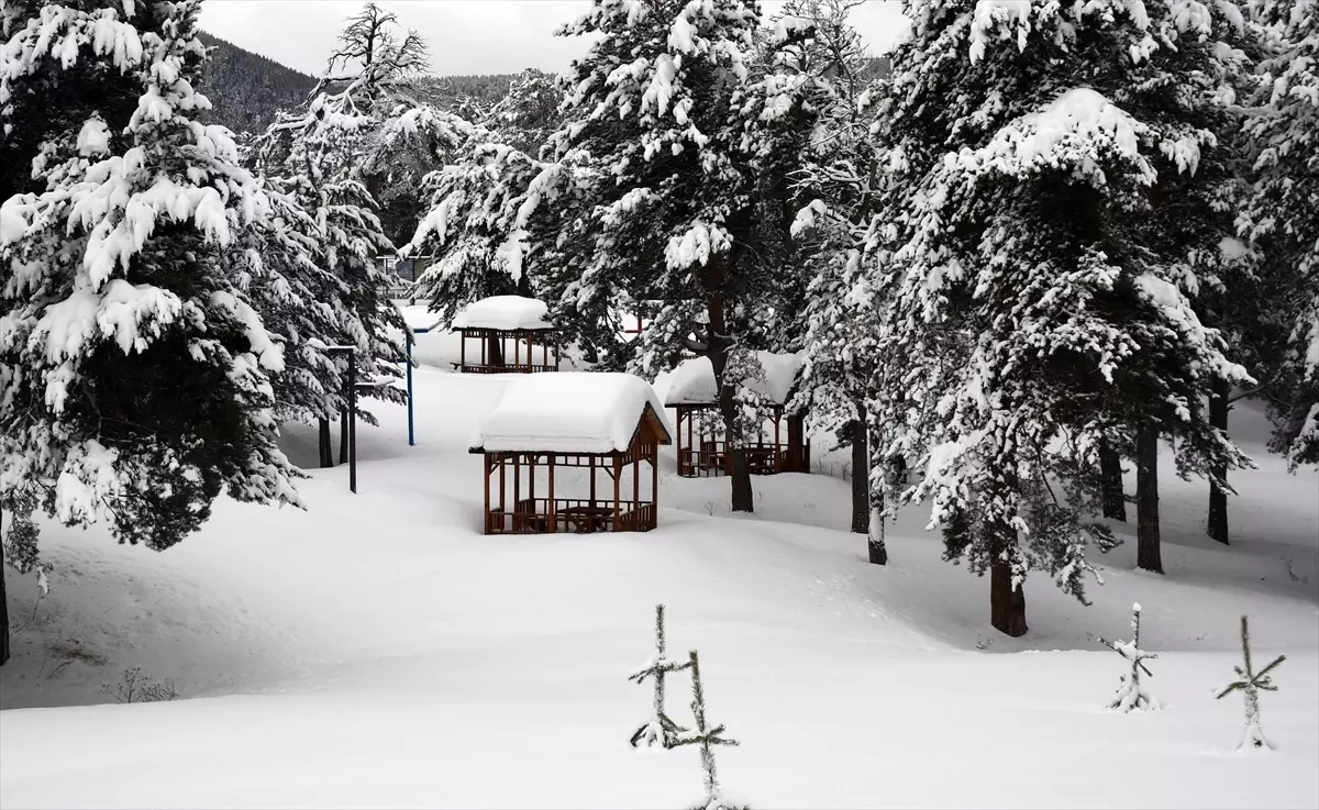 Ardahan ve Kars Beyaza Büründü