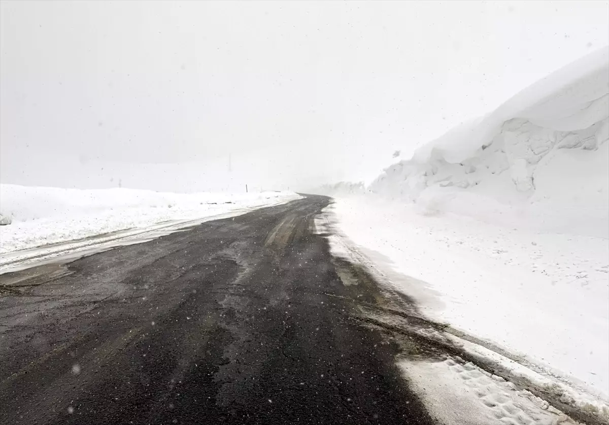 Ardahan ve Kars\'ta Kar Ulaşımı Aksattı
