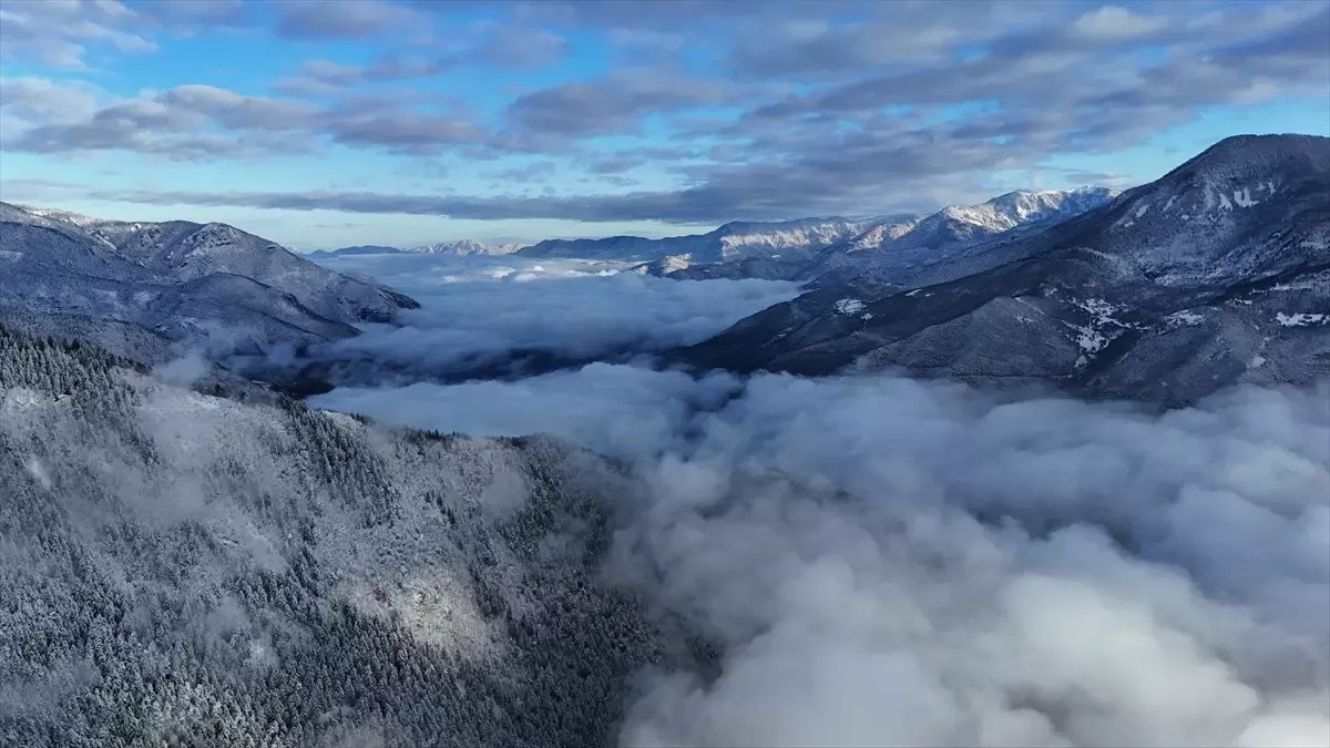 Artvin\'de Yoğun Sis Etkili Oldu