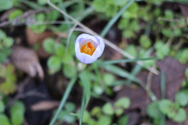Avrupa resmen peşine düştü! Milli servetimizi kaçırmak istiyorlar