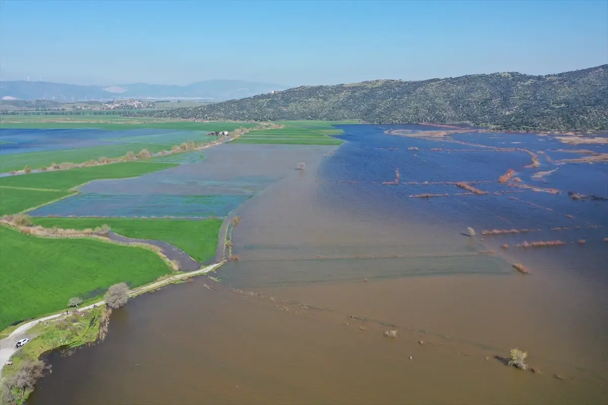 Söke\'de Taşkın: Tarım Arazilerinde Balık Avı