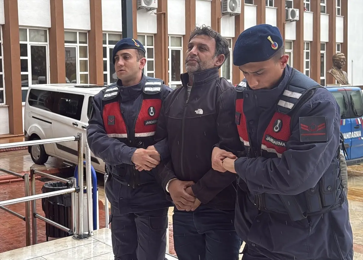 Zeytin ve İncir Ağaçları Tahrip Eden Şüpheli Gözaltında