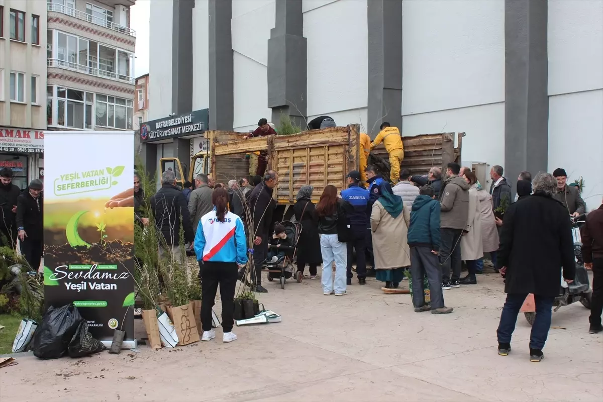 Bafra\'da Fidan Dağıtımı Yapıldı