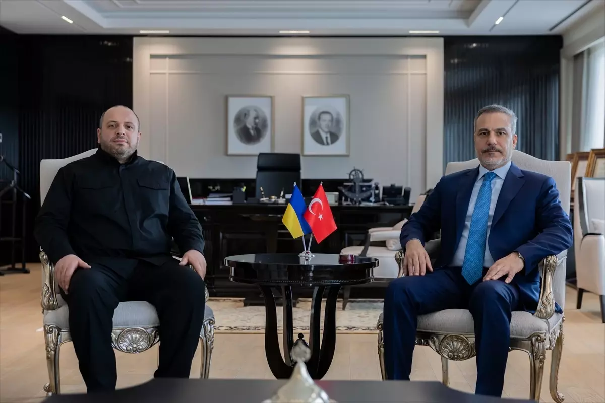 Hakan Fidan, Rüstem Umerov ile Görüştü