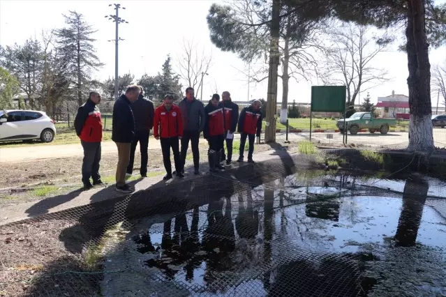 Bakanlık İpsala Tesisini İnceledi
