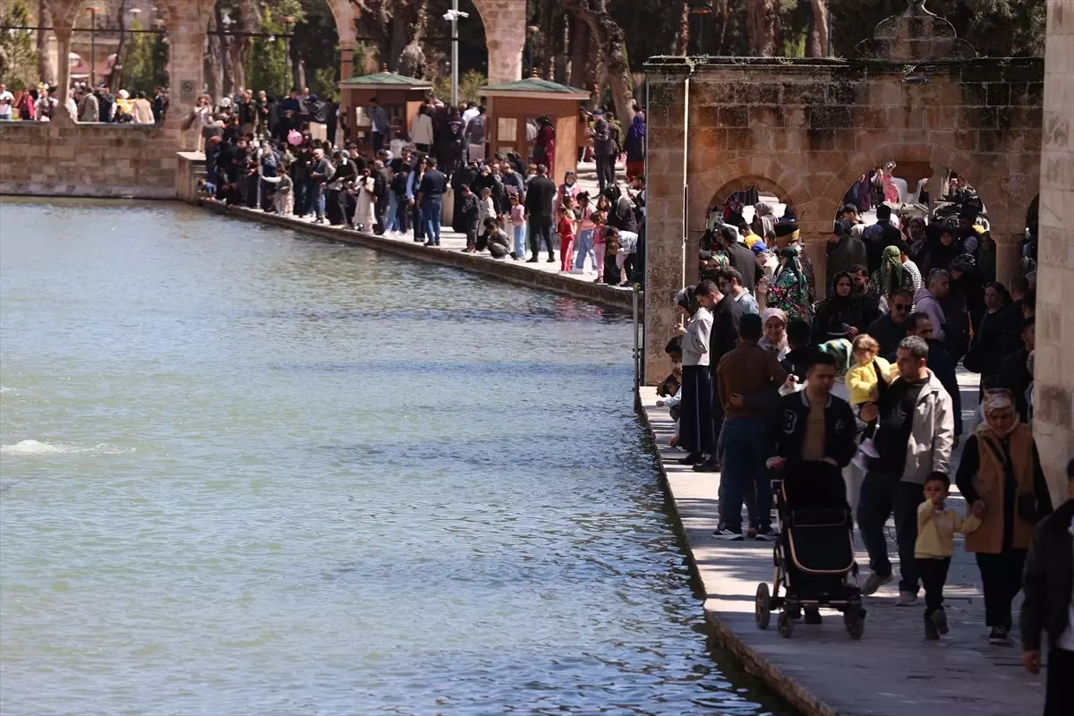 Şanlıurfa\'da Balıklıgöl Yoğunluğu