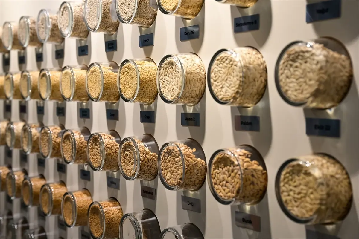 BATEM: Yerli Tohum Üretiminde Öncü