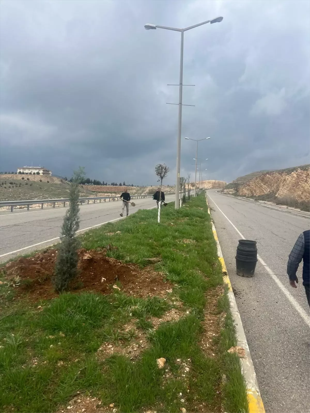 Batman\'da Ağaçlandırma Seferberliği