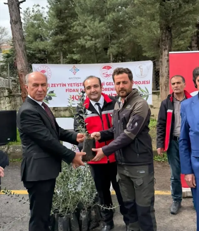 Batman’da 250 Üreticiye Zeytin Fidanı Dağıtıldı